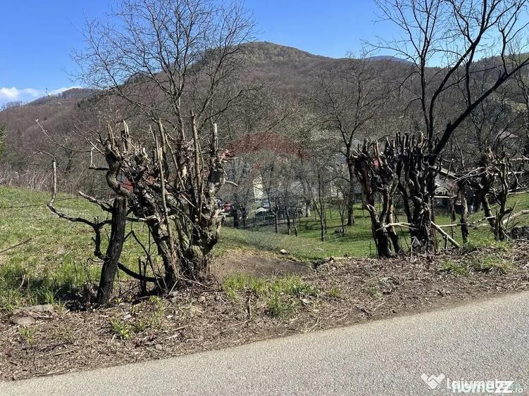 Teren de 1106 mp, în Firiza