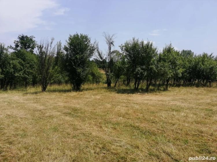 Teren de 3472 mp, în Gornovița