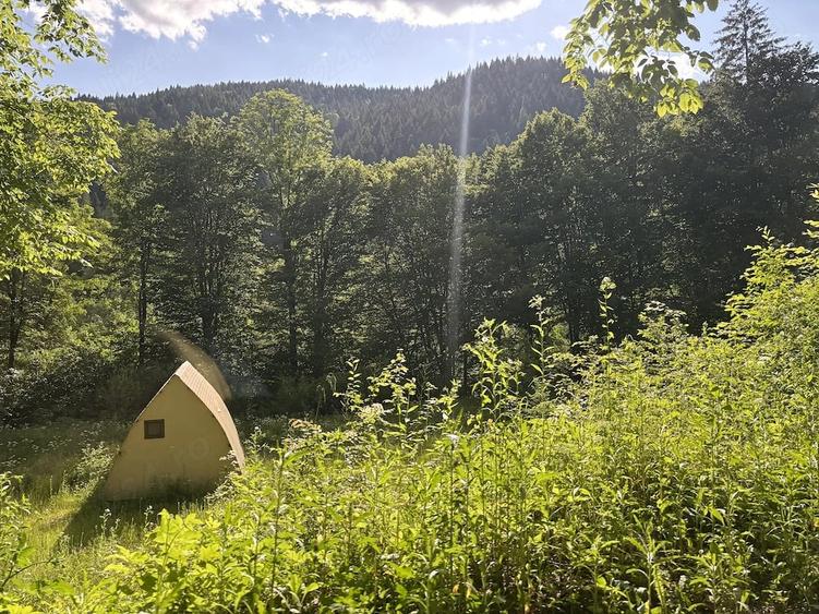 Teren de 3275 mp, în Frumoasa