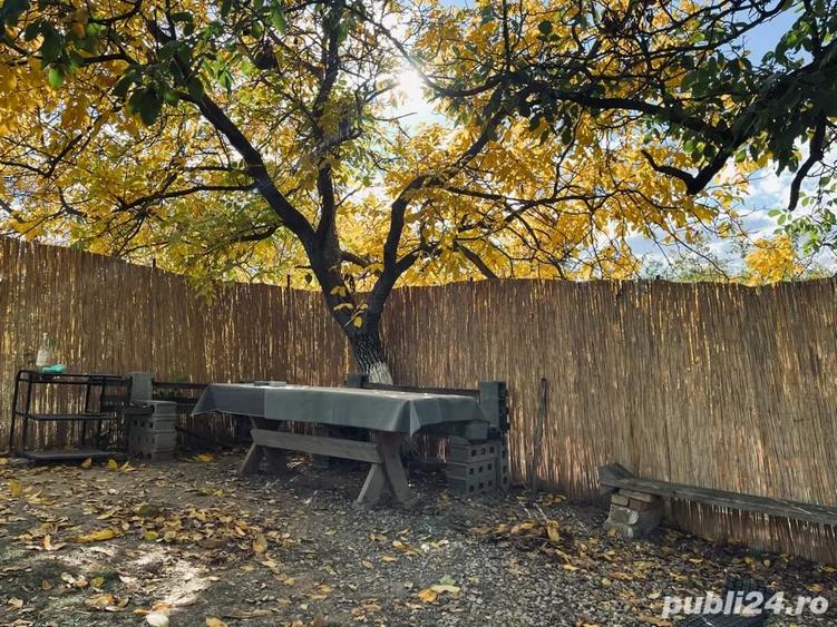 Teren de 1130 mp, în Săldăbagiu de Munte