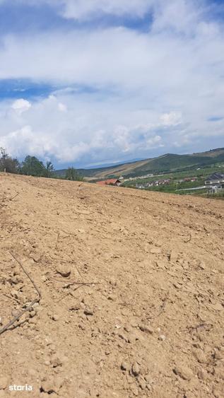 Teren de 500 mp, în Viișoara