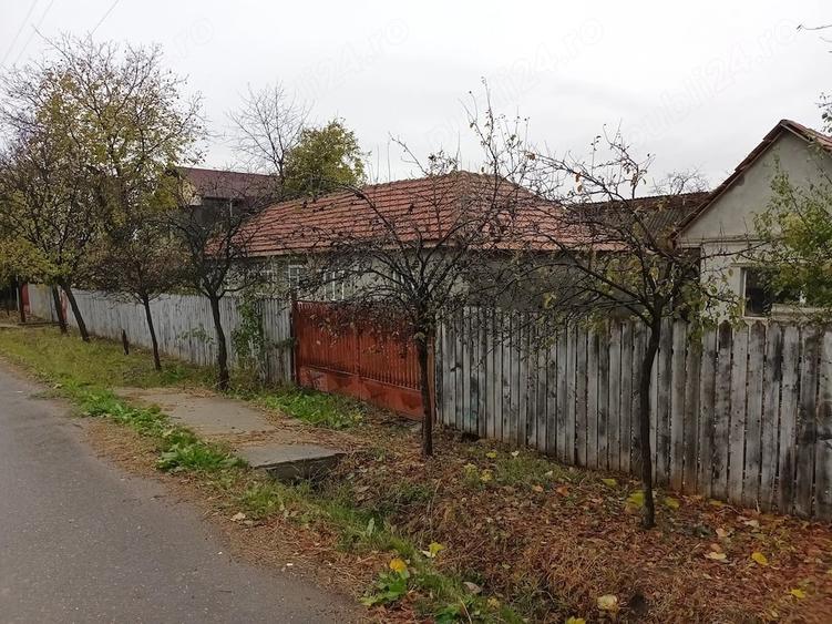 Casă cu Teren 2500 Mp în Vadu Pașii