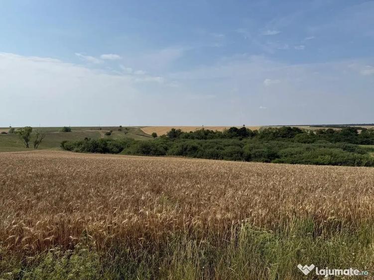 Teren intravilan Miersig, vedere la lac. 12,5 E/mp neg. C... - 16