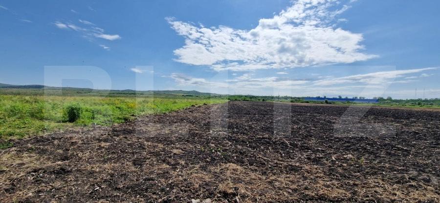 Teren Construcții intravilan de 8633 mp, în Răscruci