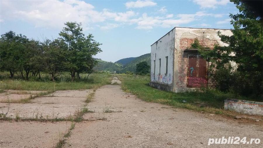 Teren de 1000 mp, în Alexandru cel Bun