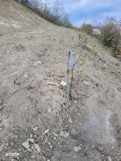 Teren de 1000 mp, în Mărăști