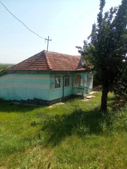 Casă cu Teren 8000 Mp în Gorban