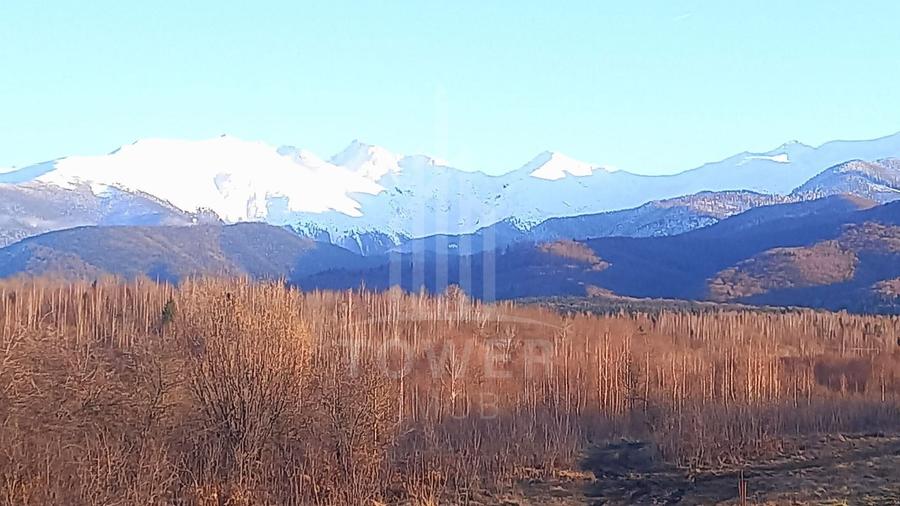 Teren extravilan de 2500 mp, în Porumbacu de Jos