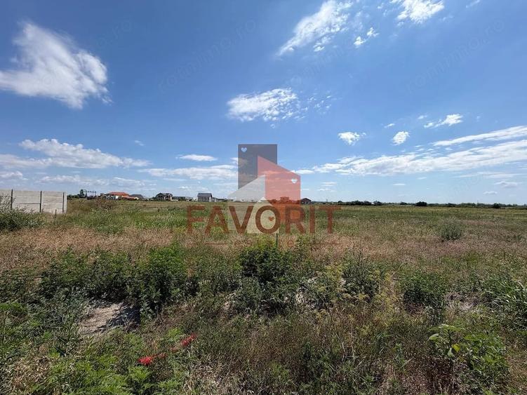Terenuri in Sacalaz | Investitie | Spatiu comercial | Zona excelenta | - 4