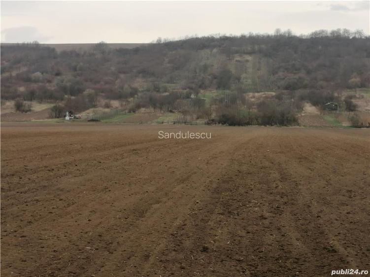 Teren de 8800 mp, în Vinerea