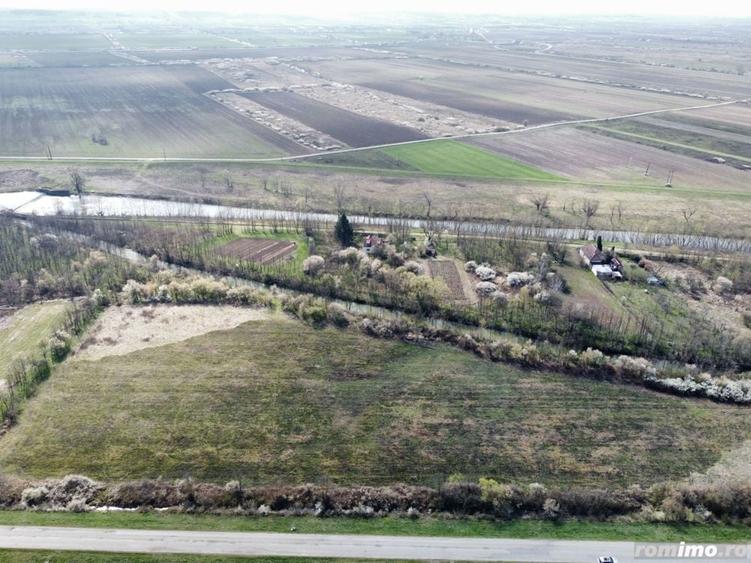 Teren de 22500 mp, în Balinț