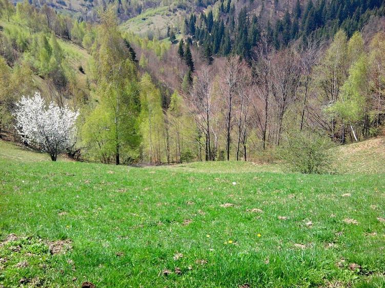 teren intravilan in zona Magura Bran - 24