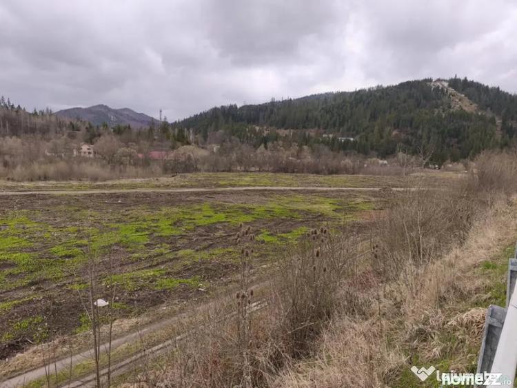 Teren de 22600 mp, în Sucevița