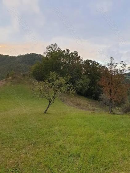 Teren de 8500 mp, în Hărțăgani