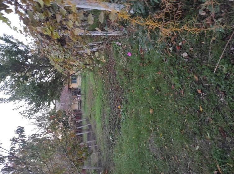 casa pe un nivel,zona Eminescu - 10