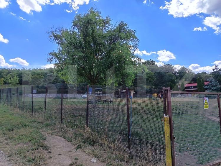 Teren agricol extravilan de 6500 mp, în Mihai Viteazu