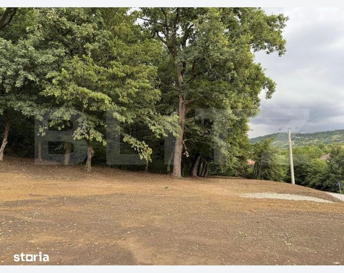 Teren de 1200 mp, în Șieu