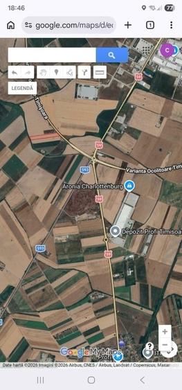 Teren agricol extravilan de 24298 mp, în Șagului