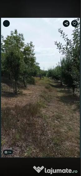 Teren de 2100 mp, în Gârbova
