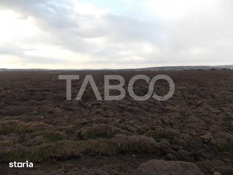 Teren intravilan de vanzare 10.000 mp in zona Industriala Vest Sibiu - 2