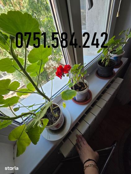 Apartament cu 3 camere în Babadag