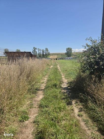 Teren de 520 mp, în Saciova