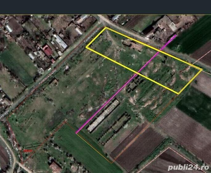 Teren agricol intravilan de 38000 mp, în Ghizdaru