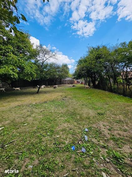 Casa cu teren intravilan 2.273 mp- pozitie centrala Darmanesti Bacau - 6