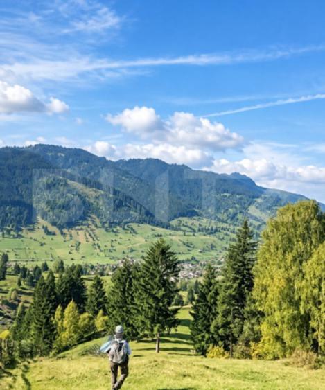 Teren de 22870 mp, în Sadova