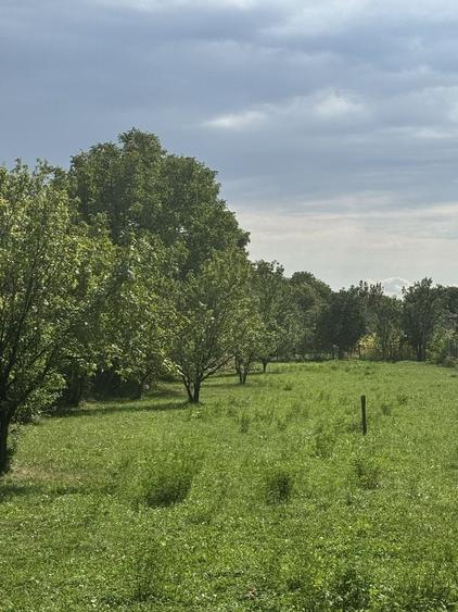 Teren de 1503 mp, în Brebu