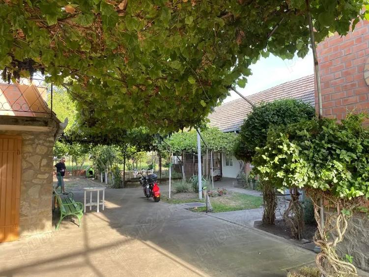 Casă cu 6 camere cu Teren 3000 Mp în Jimbolia