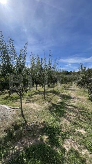 Casă individuală cu 3 camere cu Canalizare în Spiridoni