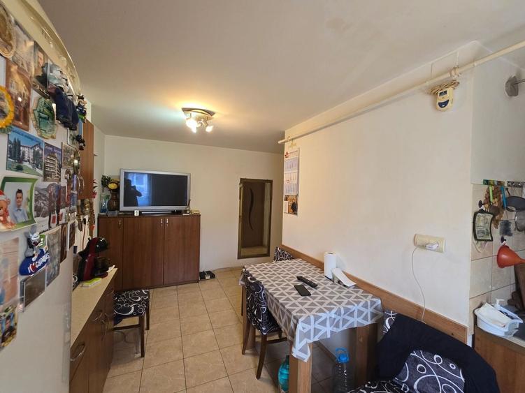 Apartament 3 camere,Zona Lipovei,Etaj 2, Mobilat si Utilat Complet, Garaj - 8