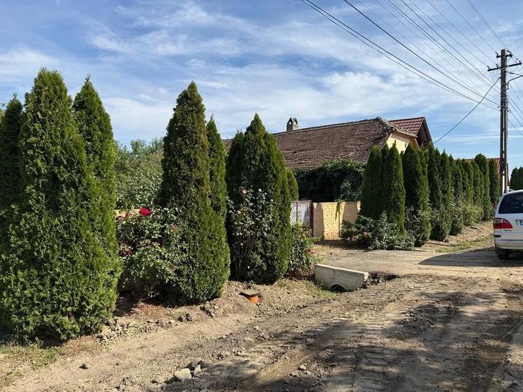 Casă cu Teren 190 Mp în Peciu Nou