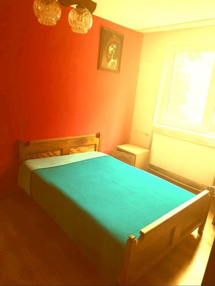 Apartament de inchiriat cu 3 camere in Brad jud Hd - 6