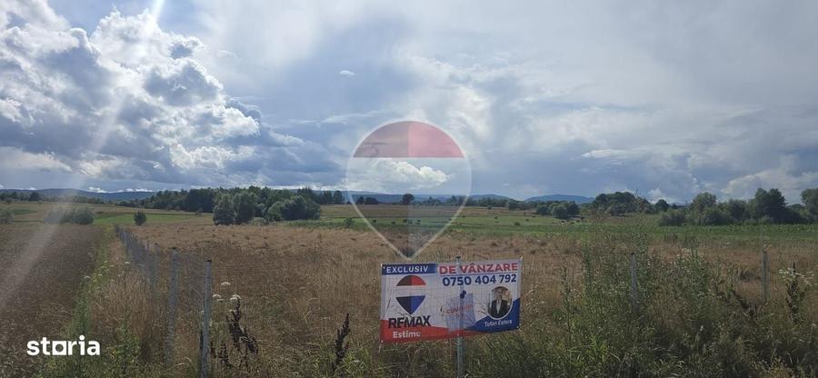 Spațiu comercial, în Horodnic