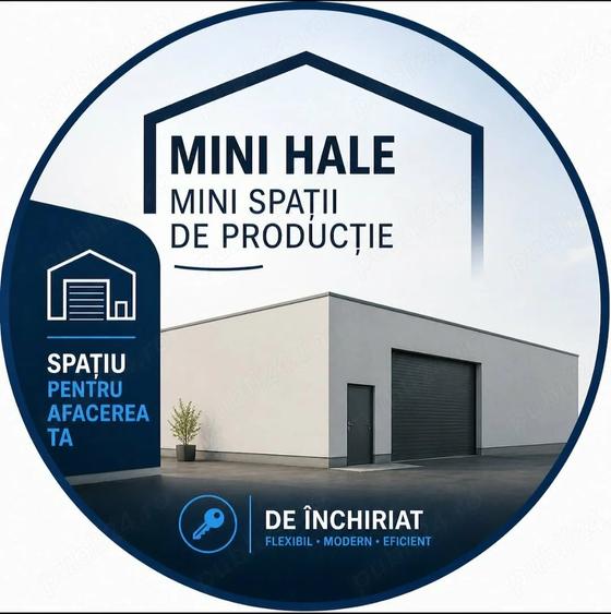 Hale Spatii Depozitare Roman NT - 4