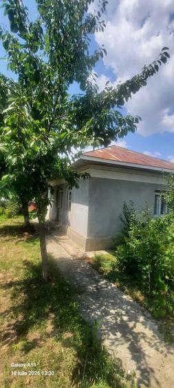 Casă cu 2 camere cu Teren 1699 Mp în Baciu