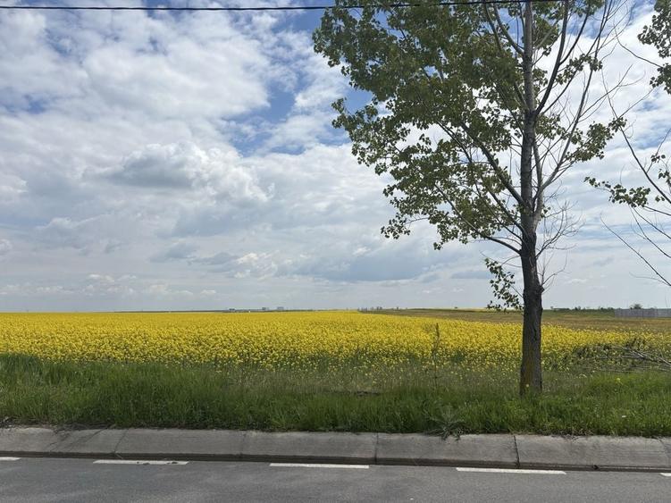Spațiu comercial, în Pielești