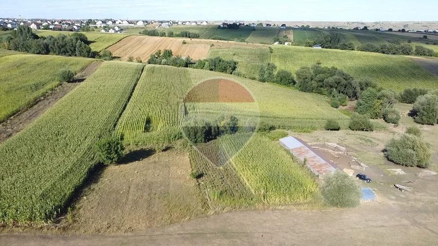 Teren agricol intravilan de 4400 mp, în Moara