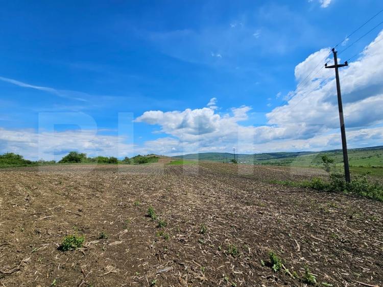 Teren agricol extravilan de 5800 mp, în Periferie
