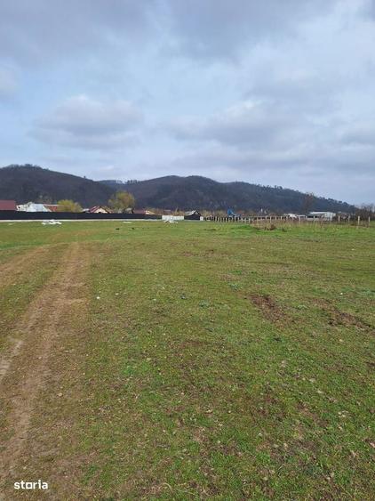 Teren de 17500 mp, în Central