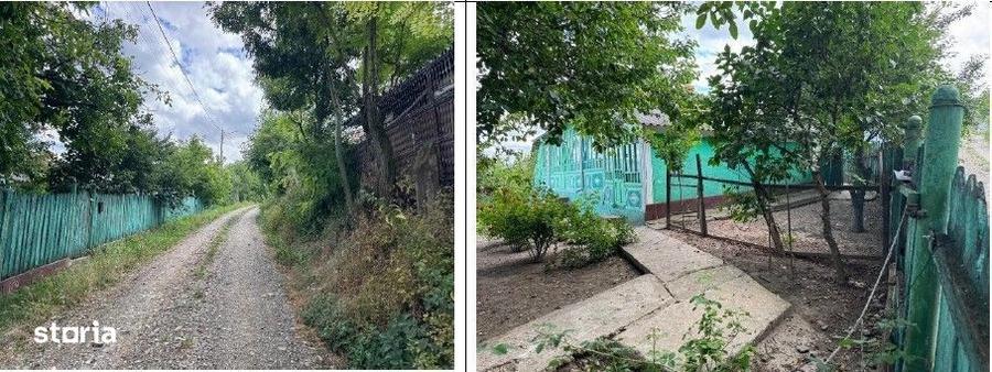 Casă cu 3 camere cu Teren 1481 Mp în Mogoșești
