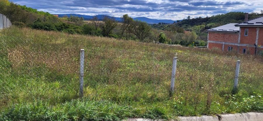 Teren Construcții intravilan de 2900 mp, în Crișeni