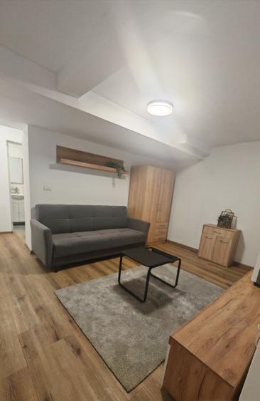 Apartament cu 2 camere semidecomandat în Drumul Carului