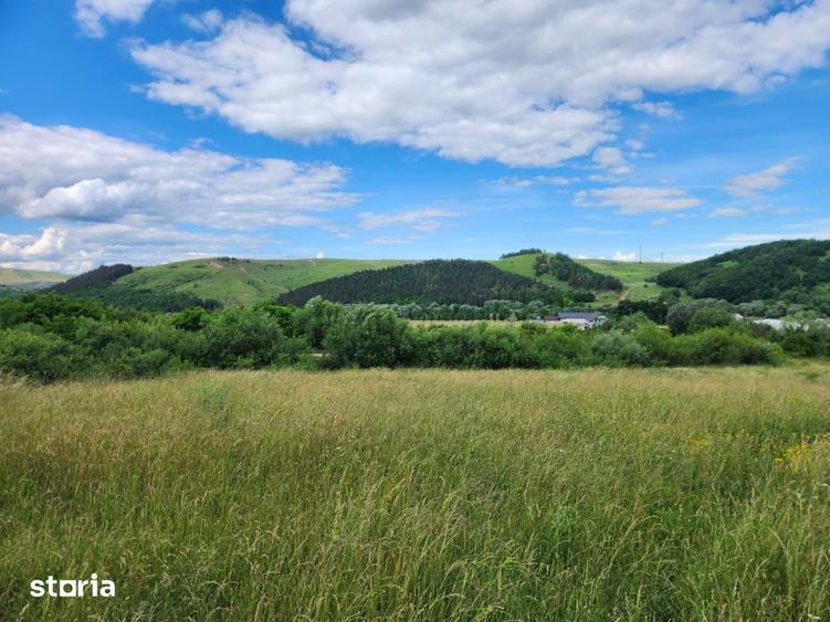 Teren de 1100 mp, în Sava