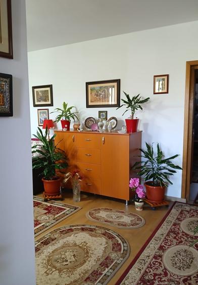 Casă cu 8 camere cu Canalizare în Voluntari