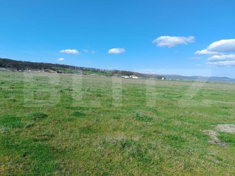 Teren agricol extravilan de 15000 mp, în Nord-Vest