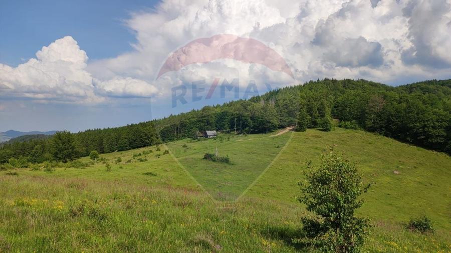 Teren agricol extravilan de 128948 mp, în Munteni