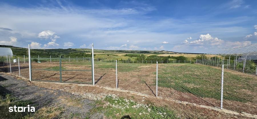 Teren de 2494 mp, în Brădești